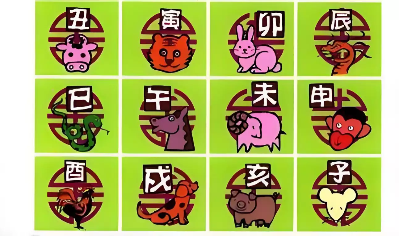 解锁12生肖相冲相克表的秘密