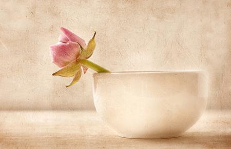 属蛇人最佳伴侣类型