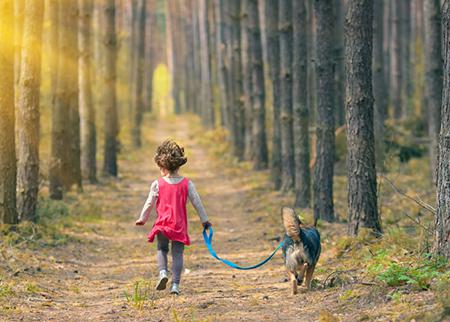 生肖马2012年5月份桃花运抢先报