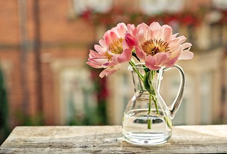 6月生肖羊人际关系运势预报