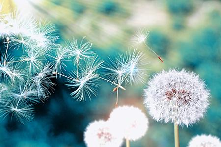 3月生肖羊人际关系运程