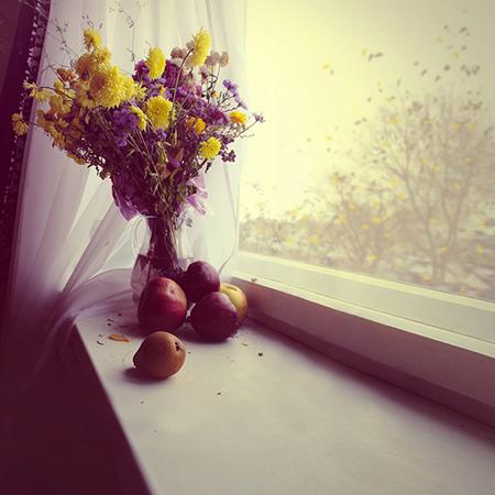 猴宝宝好还是鸡宝宝好