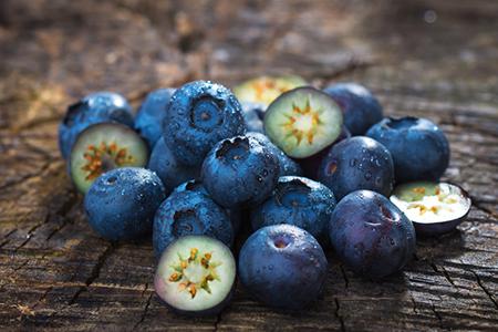 2004年属猴人的2015年运程