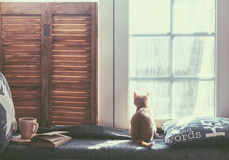 属兔男生生气有哪些预兆