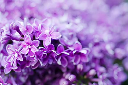 猴宝宝受用一生的开运建议