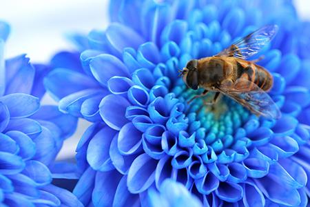 苏民峰五月生肖猴运程报告