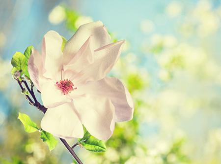 生肖猴五月幸运指数大公开