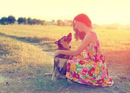 属兔的幸福婚配