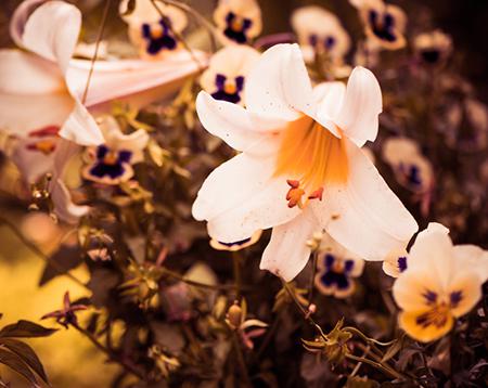 1933年出生属鸡的今年多大