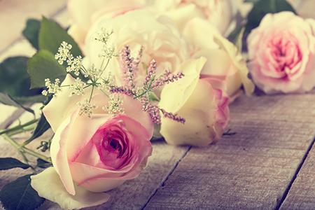 7月生肖鸡男女桃花抢先报