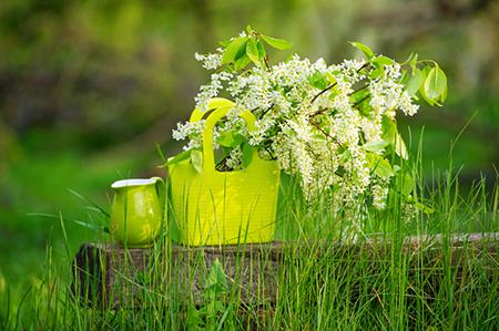 农历三月生肖龙运程