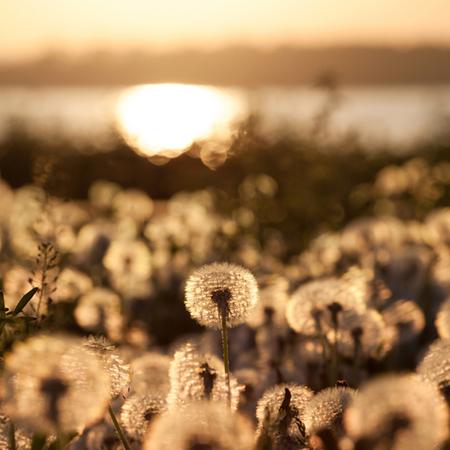 属龙的人2012年爱情运