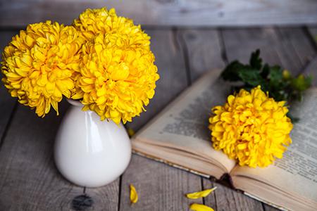 生肖蛇不宜养什么