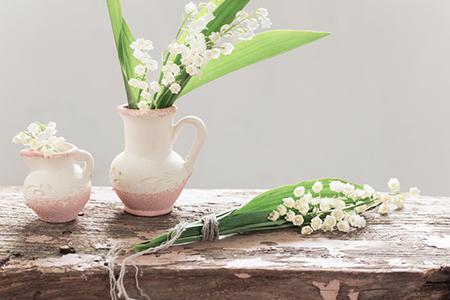 属猪人一生最旺的年龄