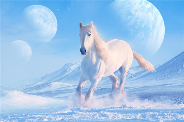 2002年生肖马的人性格特点探析