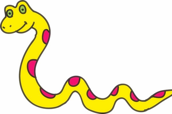 1989年属蛇人的个性特点