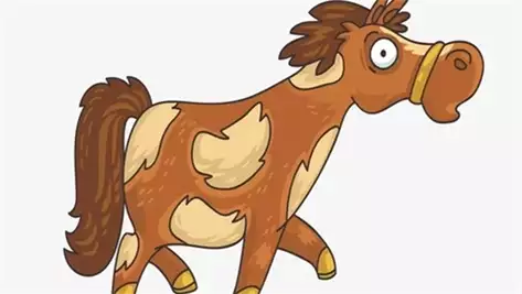 1966年属什么生肖？揭开命理与人生的奥秘