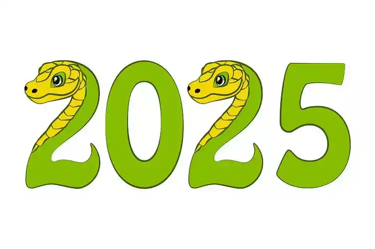 蛇年最旺的四个属相，2025年必火