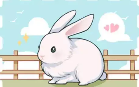 1999年属什么生肖？五行属什么命