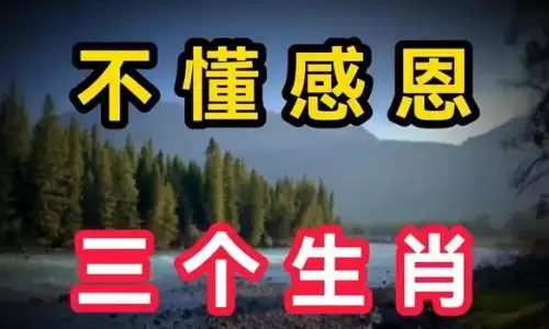 不懂感恩的三个生肖，了解一下别被坑