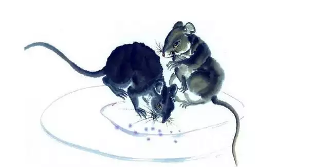 1984年属什么的生肖