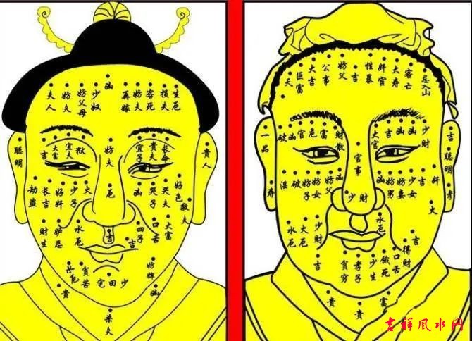 痣相分析：从痣相分析一个人的运势走向