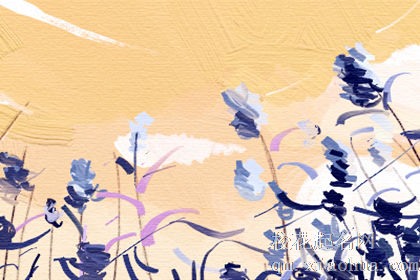 十二星座觉得小蛮腰还是小翘臀更有诱惑力