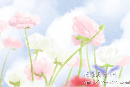 爱玩暧昧，脚踏两船的星座女