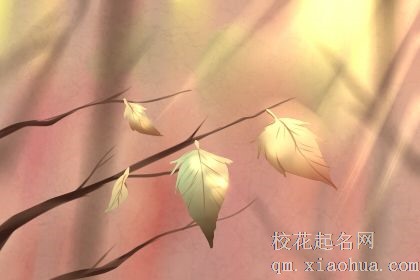 十二星座为什么突然要改变自己？