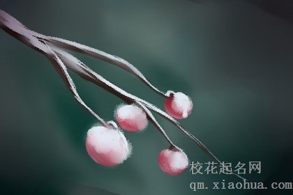 12星座的“床德”指数_你有多少？