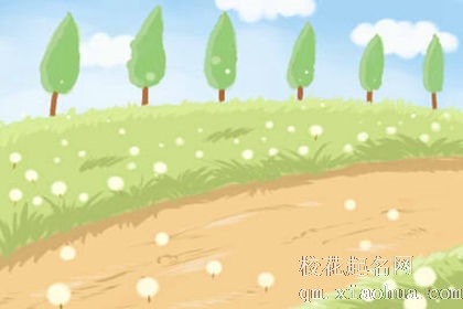 在公共场合亲热从来不眨眼的星座