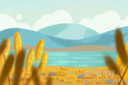 十二星座男对女生性生活的反应