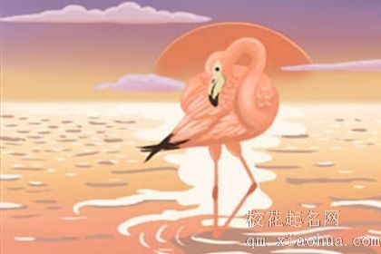 12星座女跟陌生人缠绵通常是想发生什么