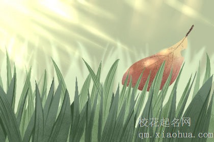 十二星座男谁是炕上的拖拉机