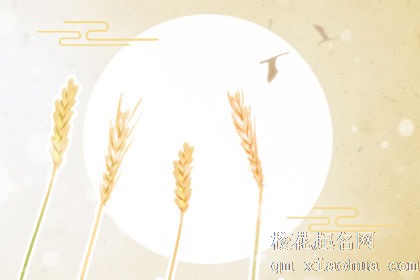 发现女票以前约过炮，十二星座男什么反应