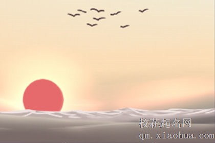 热衷于约会的星座男有哪些