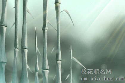 十二星座女收到男票买的充气娃娃是什么反应