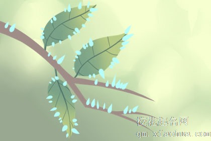 这些星座男不看片？看看他们是怎么说？