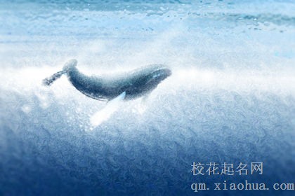 床上是炮友，床下是朋友的星座配对