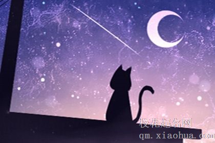 十二星座为什么会出轨？本性如此？