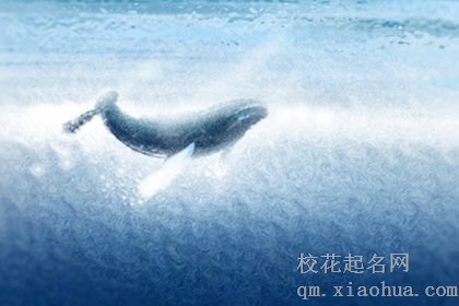 十二星座男“战斗”时的惯用战术大盘点