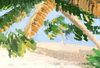 说话离不开黄段子的星座