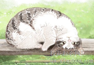 又大又温暖！喜欢拿男友当抱枕的星座女