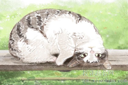 12星座对水性杨花的人都有什么看法？