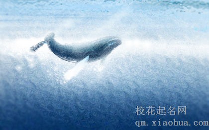 12星座男生为什么喜欢盯着胸部看