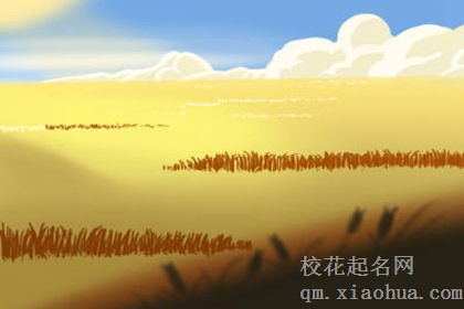 最喜欢大眼美女的星座男都有谁