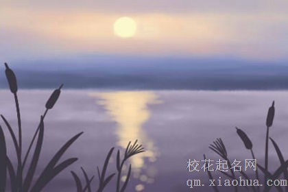 揭秘12星座女性需求榜单