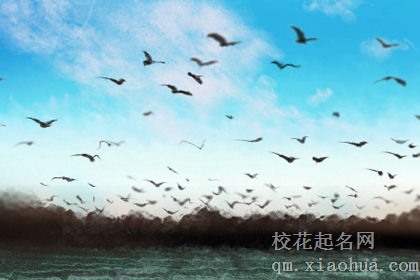 哪些星座男生驭妻有术