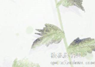 12星座温存后最想做的事