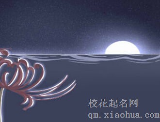 十二星座幻想最下限
